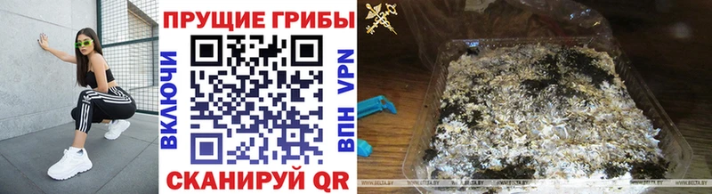 Псилоцибиновые грибы мухоморы  как найти закладки  Почеп 